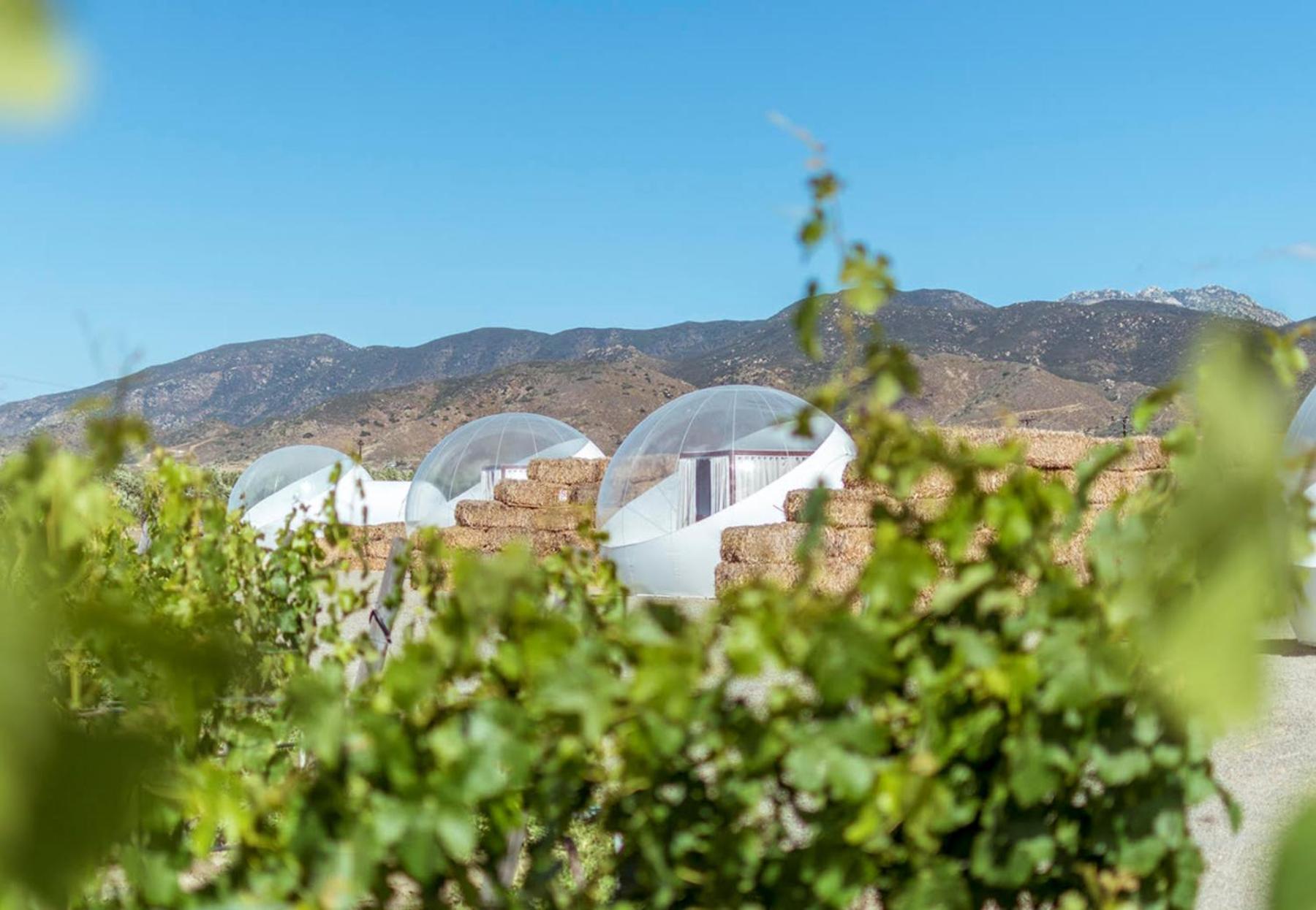 Campera Valle De Guadalupe Ensenada Exterior photo