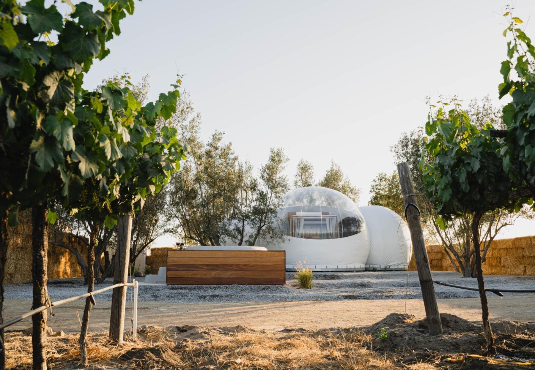 Campera Valle De Guadalupe Ensenada Exterior photo