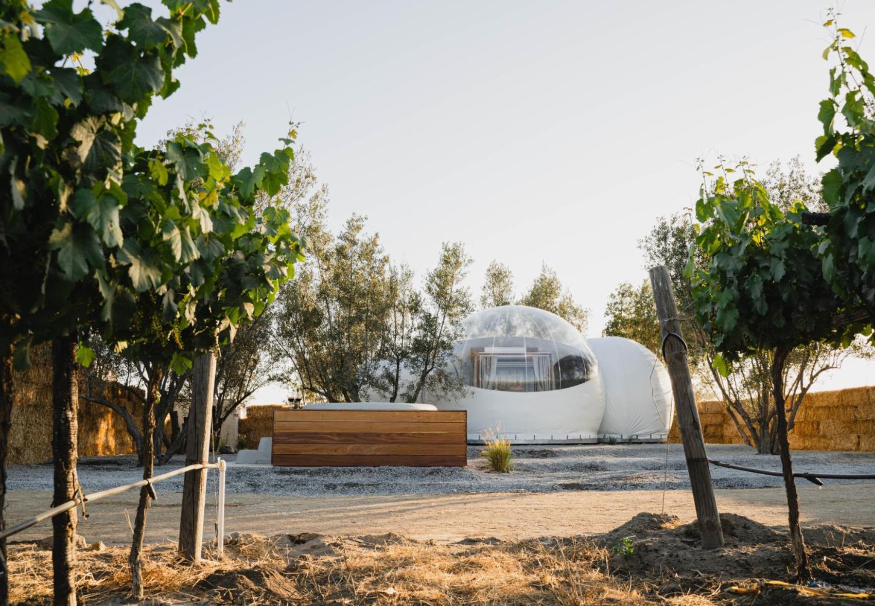 Campera Valle De Guadalupe Hotel Ensenada Exterior photo