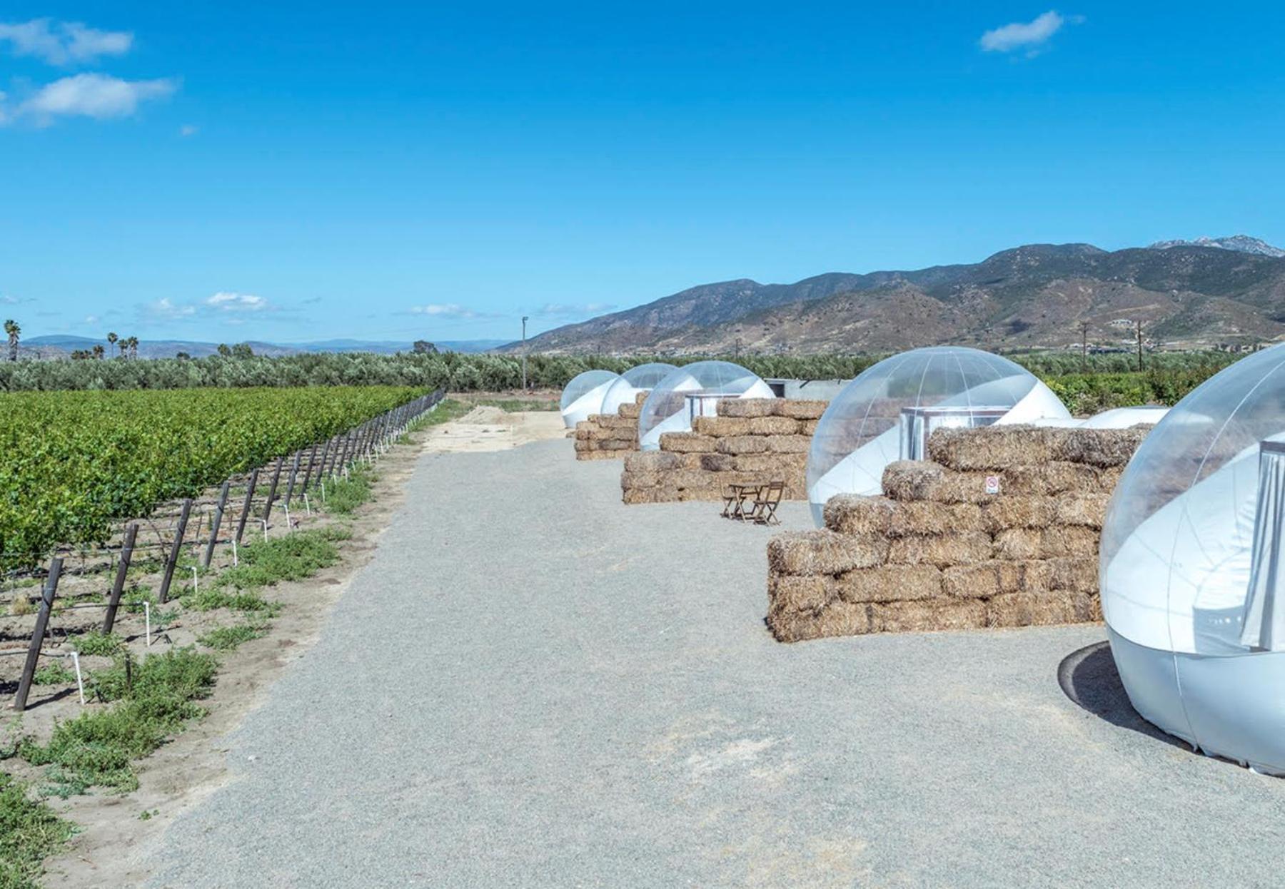 Campera Valle De Guadalupe Ensenada Exterior photo